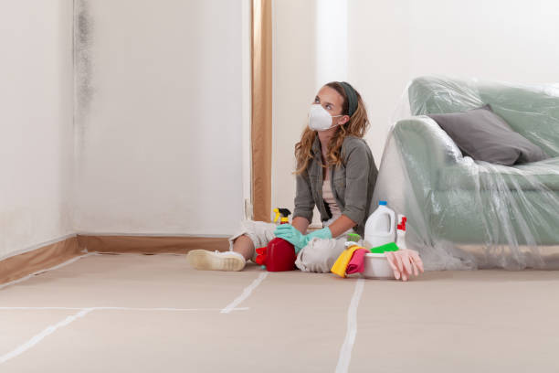 Reliable Mold Remediation contractor in Westmont, NJ by Cheap Mold Removal